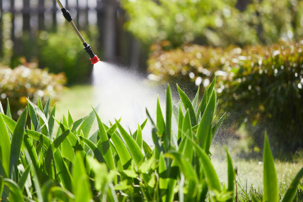 Tamper-Resistant Bait Stations for Rodents in Wayne