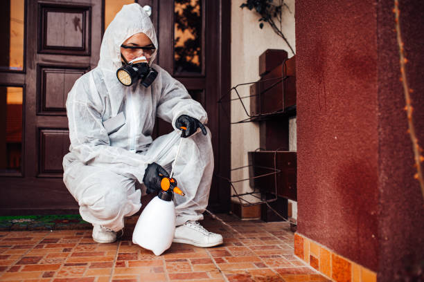 Attic and Crawl Space Rodent Treatment in Wayne