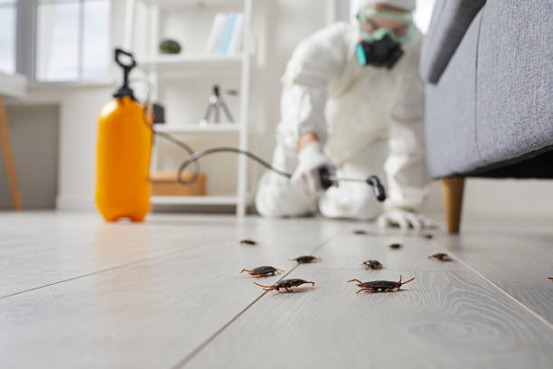 Commercial Rodent Management in Wayne